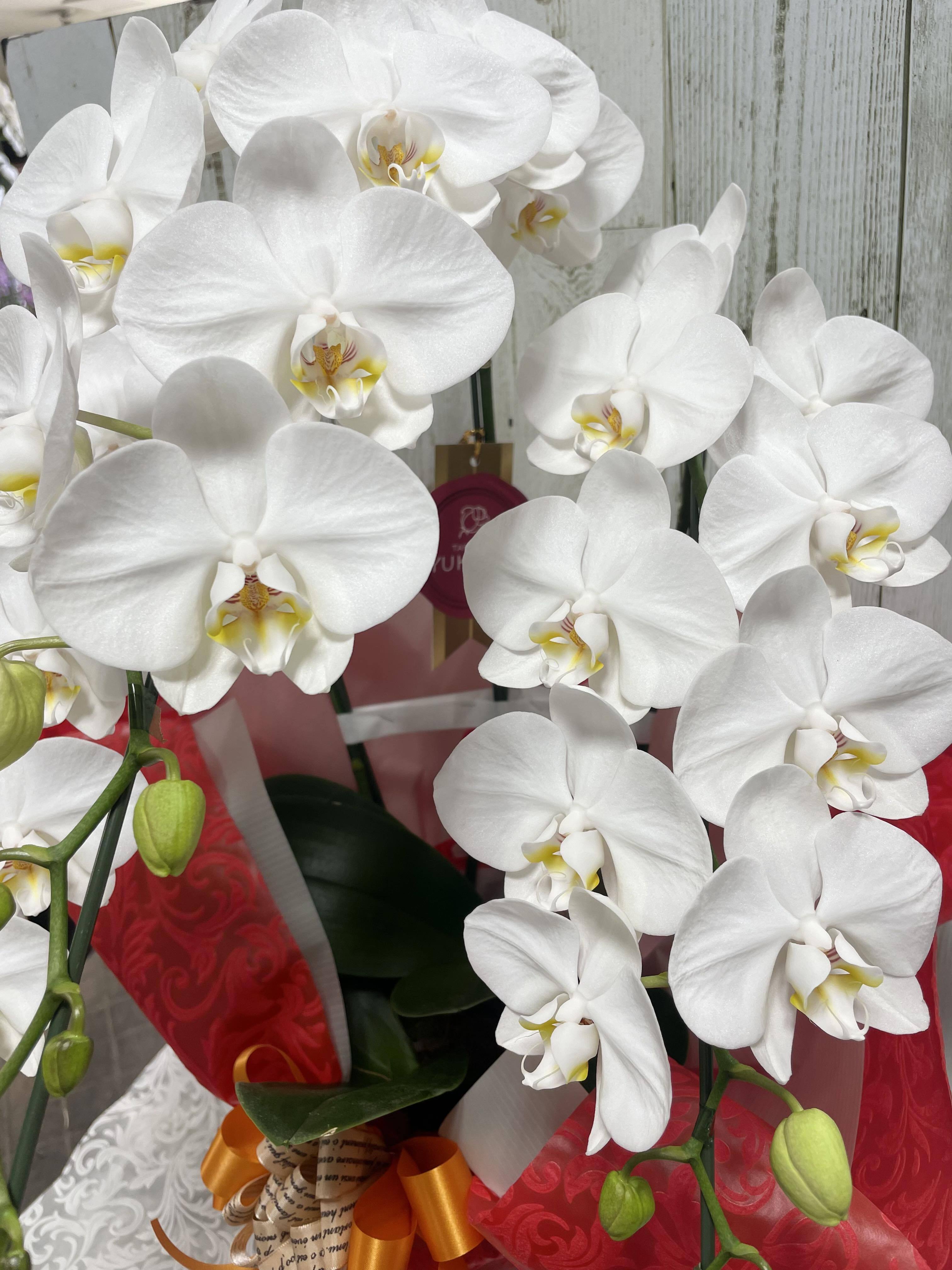 fe2c588bd1ae3157f9f4be2f861df1