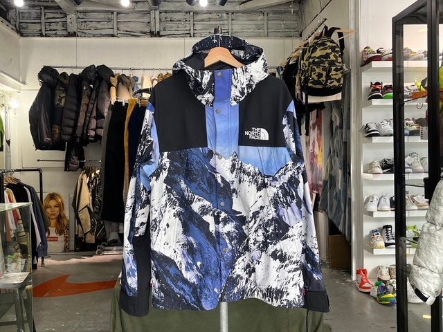 Supreme  × THE NORTH FACE MOUNTAIN PARKA LARGE 55499