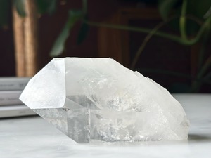 プロフェッショナル17