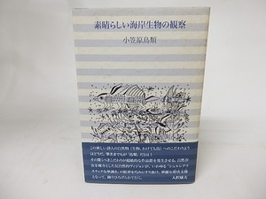 素晴らしい海岸生物の観察　/　小笠原鳥類　　[16744]