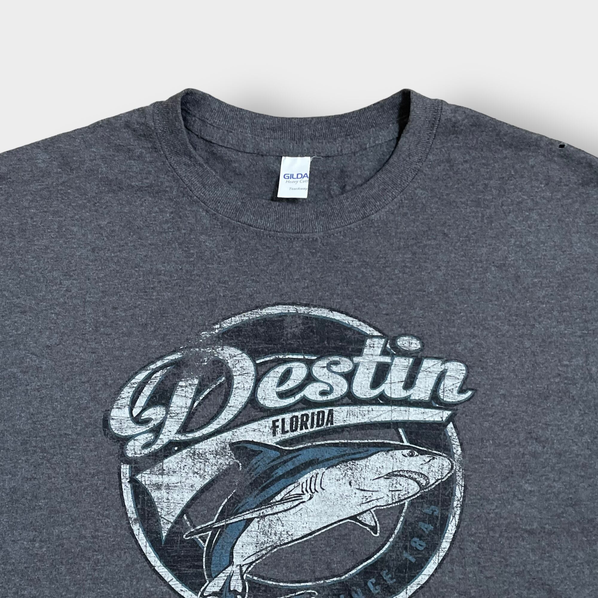 GILDAN】Destin Florida リゾート地 サメ プリント Tシャツ ロゴ ...