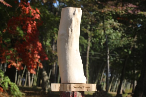 Sound of Woods (Maruba Aodamo)