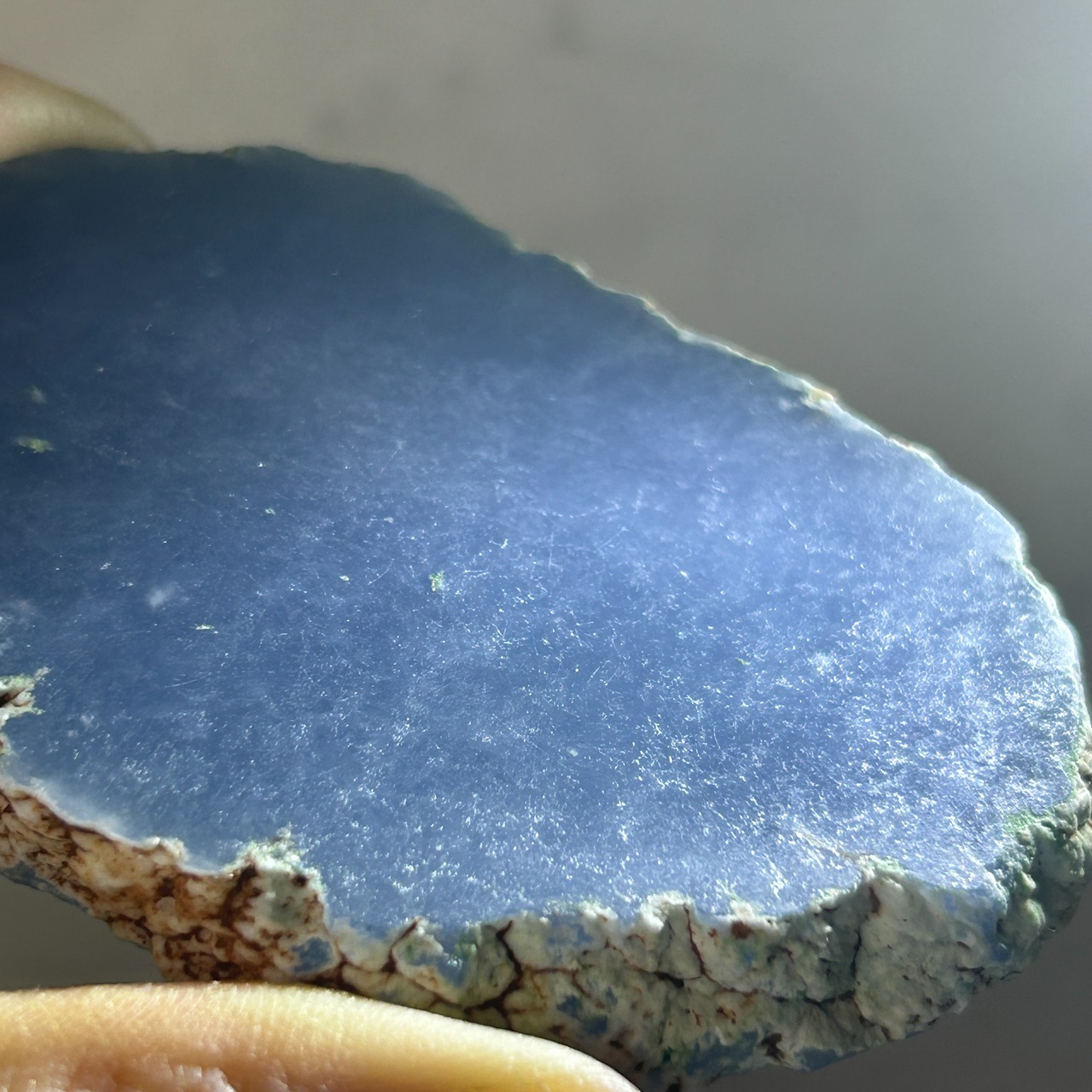 エンジェライト プレート