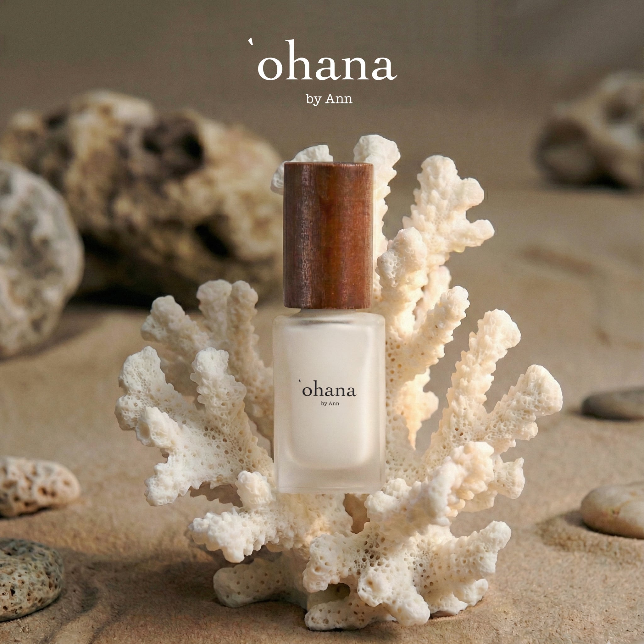 Ann Professional 艶EXノンワイプトップジェル 10g #60404 | プラスディー