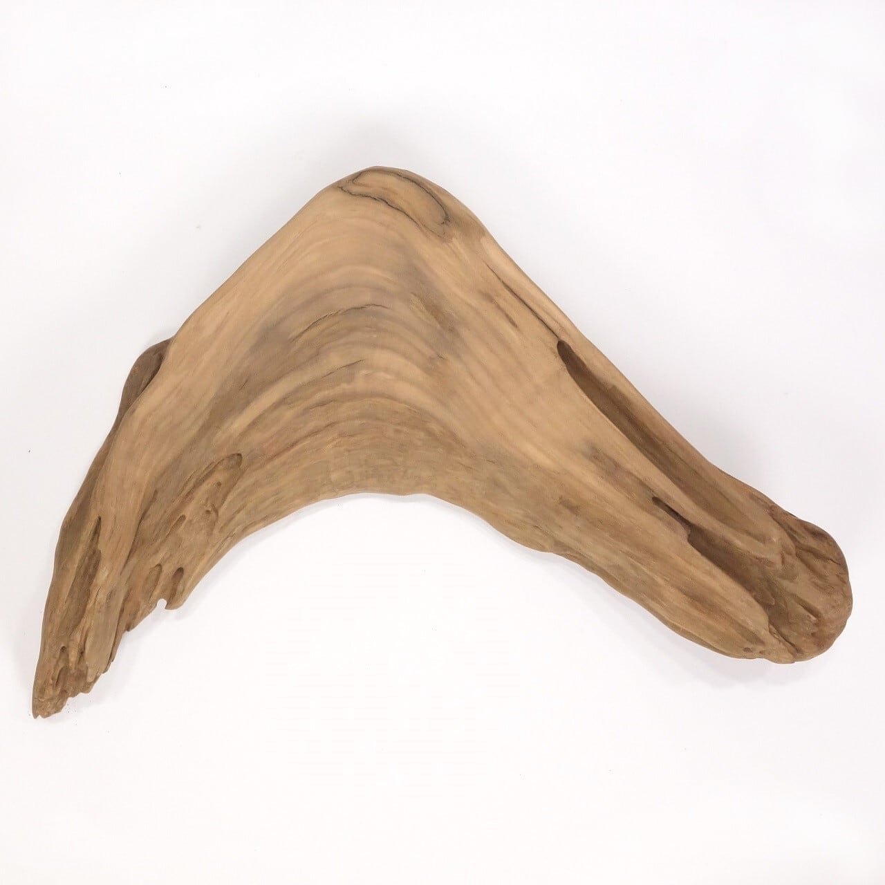 流木 台座  花梨瘤 流木 台座 花梨瘤