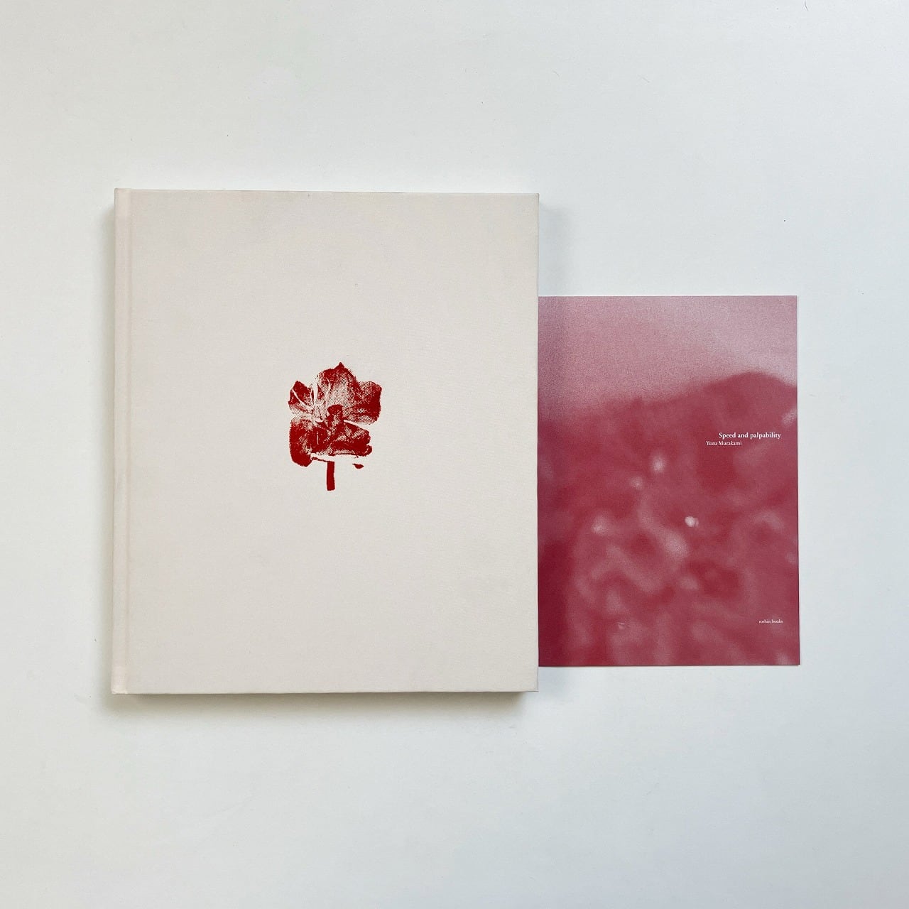 Photography | 写真 | 翠ブックス | suibooks | 古書古本買取販売