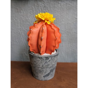 【ARCANA】Leather Cactus  M/Orange