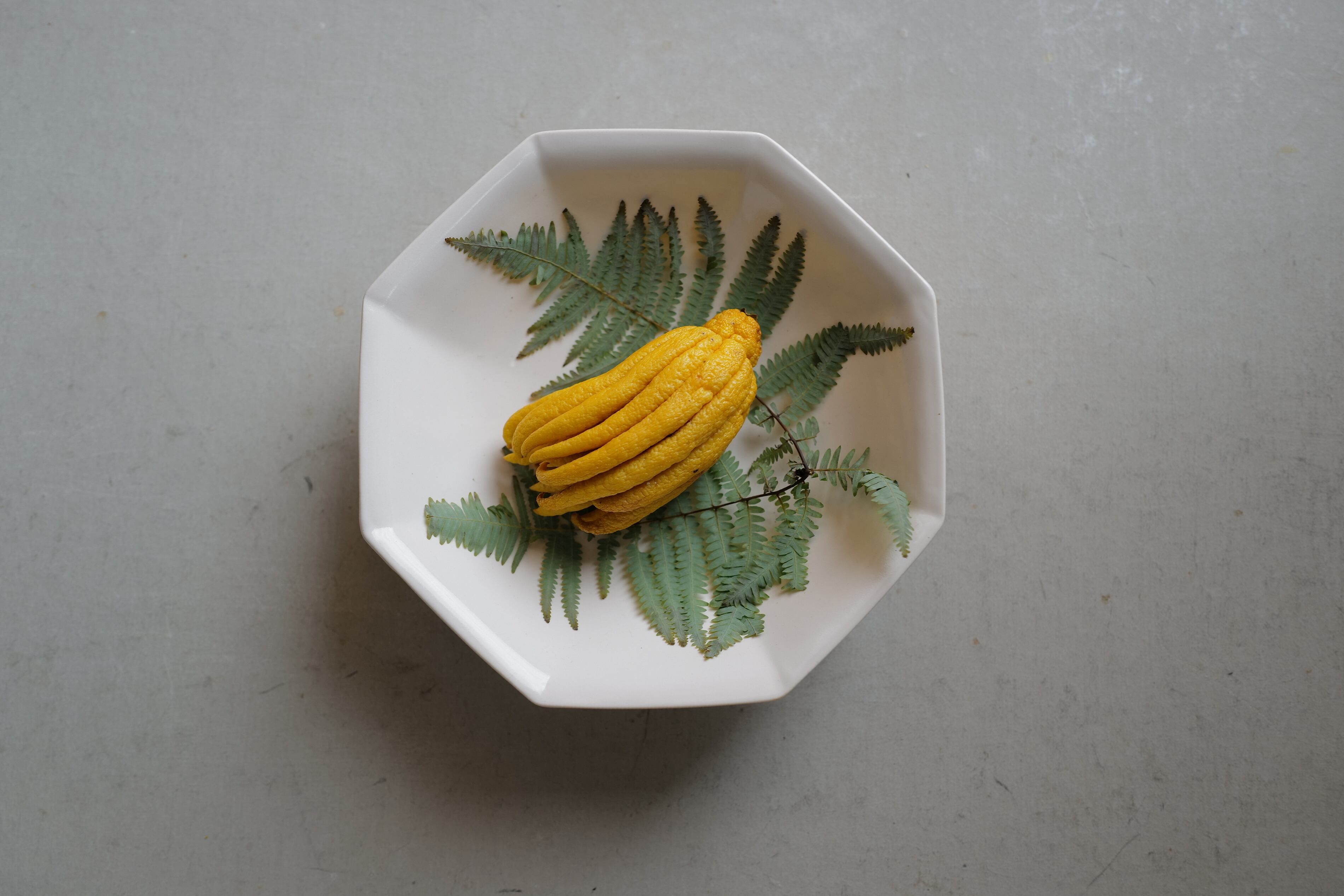 岡田直人 43.八角鉢大 | 陶屋なづな