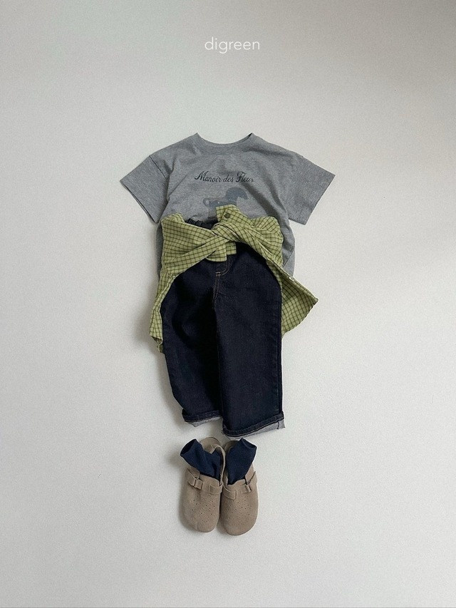 〘予約〙digreen / maiden T