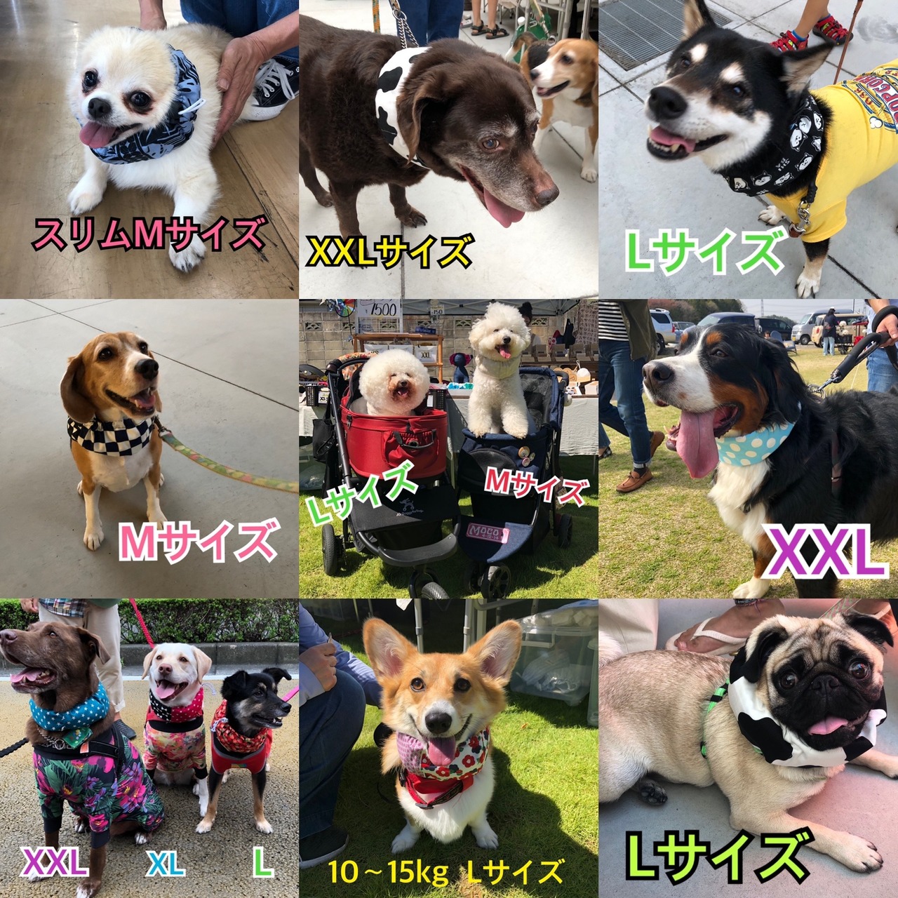 M ネッククーラー 小型犬