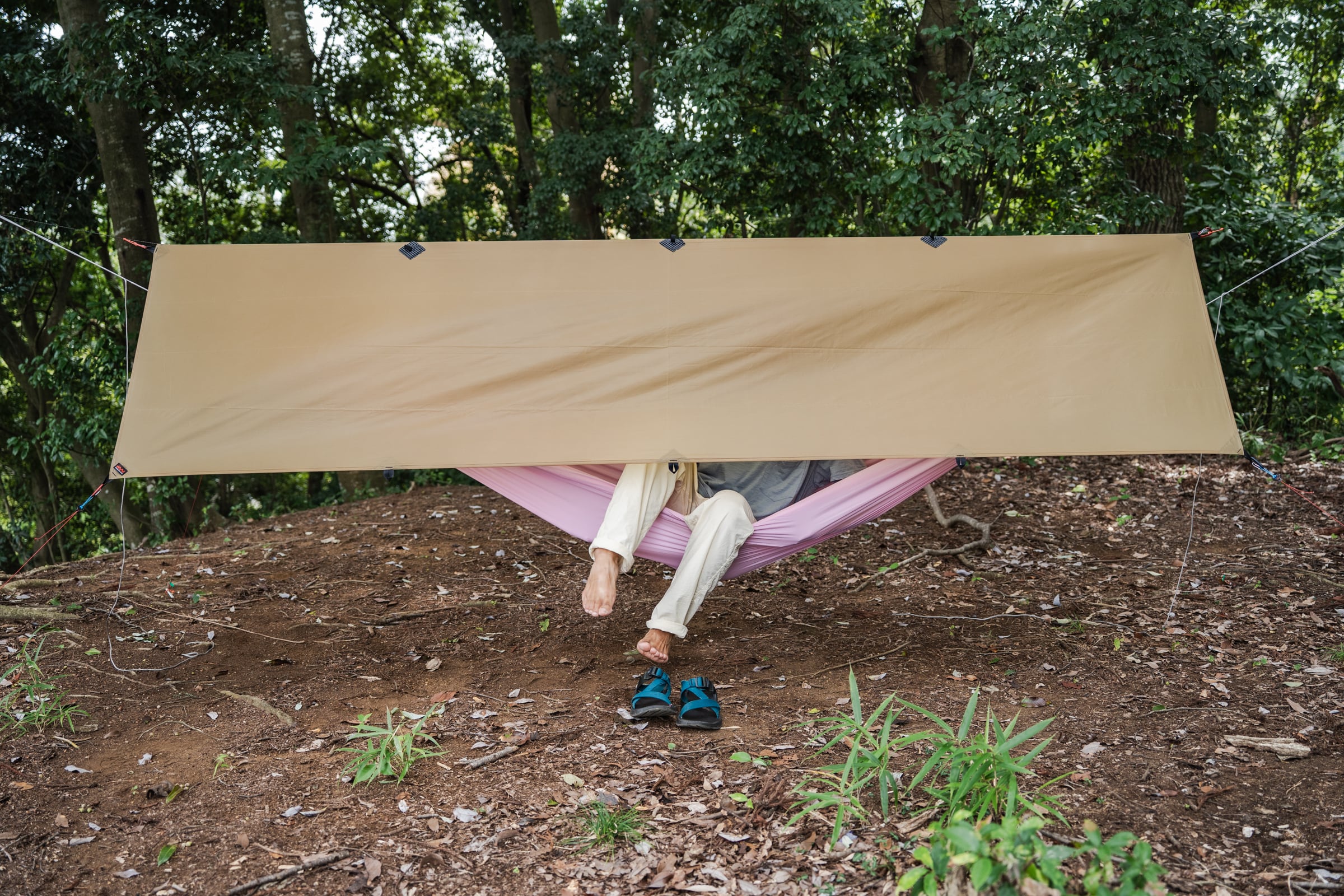 PB Tarp 10×10 