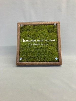 Interior Preserved Moss Frame 「Harmony with nature」