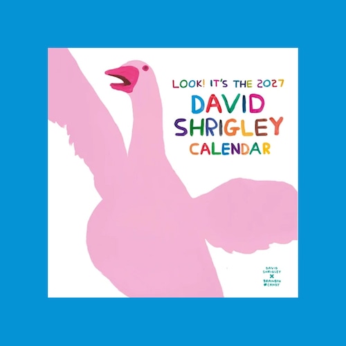 〈予約中〉DAVID SHRIGLEY：2027 WALL CALENDAR