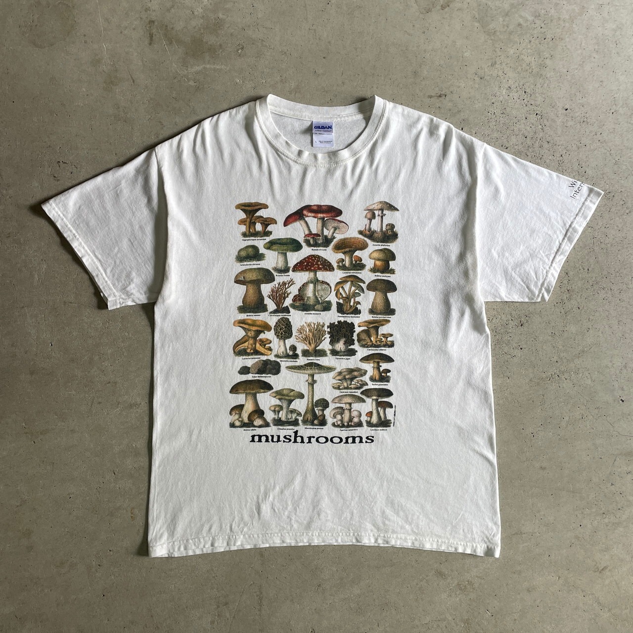 00年代 mushrooms キノコ プリントTシャツ メンズL 古着 00s 