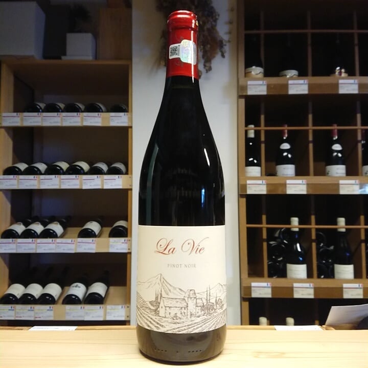 ヴァイン・イン・フレイム ピノ・ノワール/ヴィル・ブドゥレアスカ　750ml×12本　(赤ワイン） Budureasca Vine in Flames Pinot Noir(ブドゥレアスカ | Vinica 無料