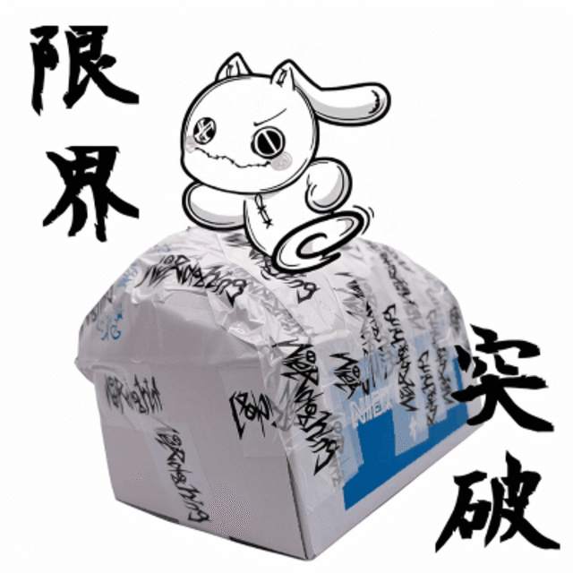 新年恒例☆超限界突破ぱつぱつBOX 【39点限定】