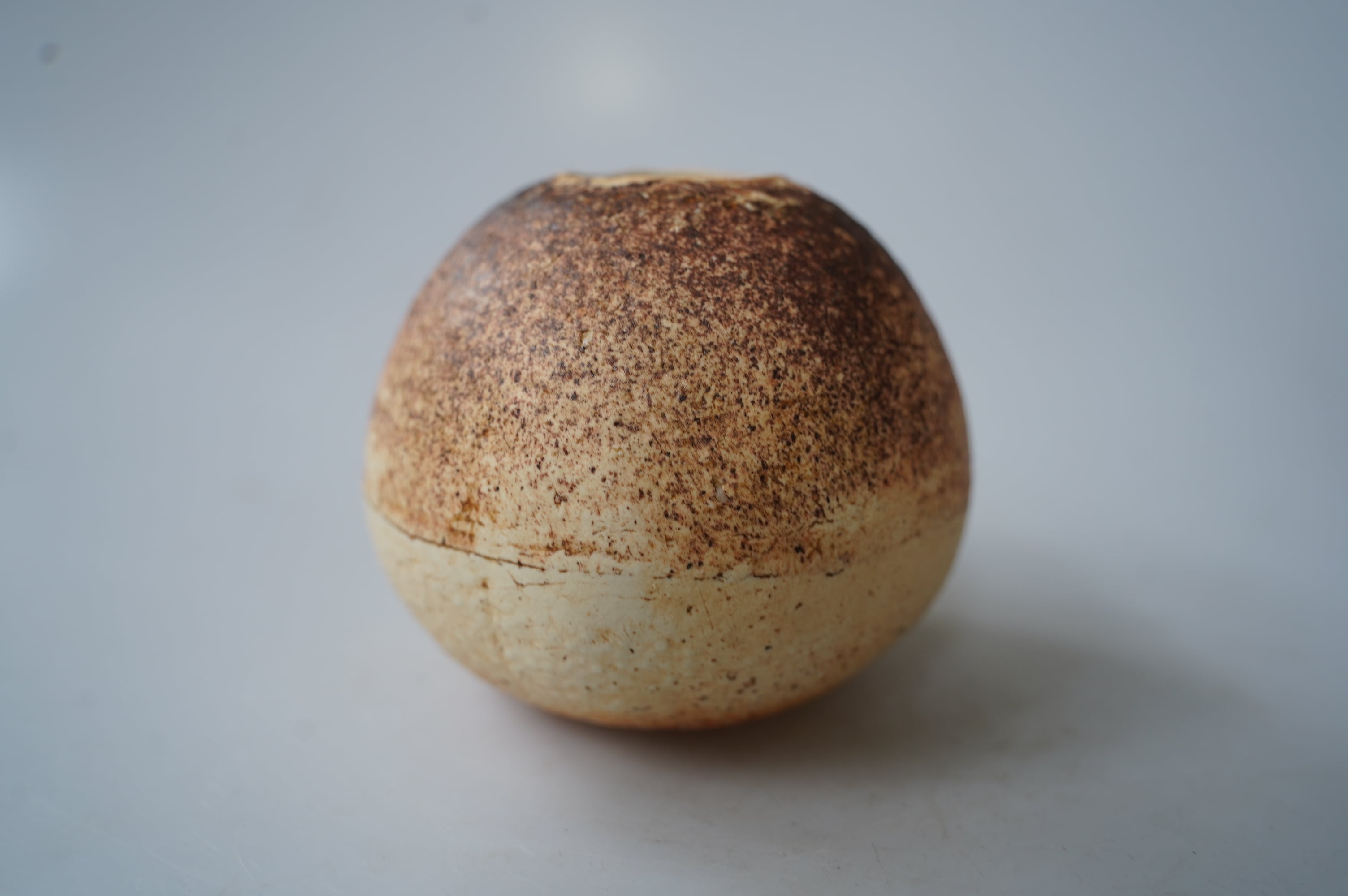 山田晶　多様皿 陶芸ZANMAI－現代陶人名鑑：山田 晶