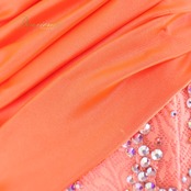 社交ダンス 衣装 スタンダードドレス ワンピース ドレス スタンダード フロート 羽 レース フリル デモ 競技 蛍光 サーモンピンク オレンジ 発表会 パーティ ピンク系 オレンジ系 フロア映え 揺れる装飾 おしゃれ 女性らしい ステージ用 ダンス衣装 社交ダンスイベント 競技用ドレス