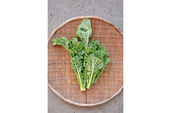 【ほろ苦美味】菜花・100g(2/23発送開始)