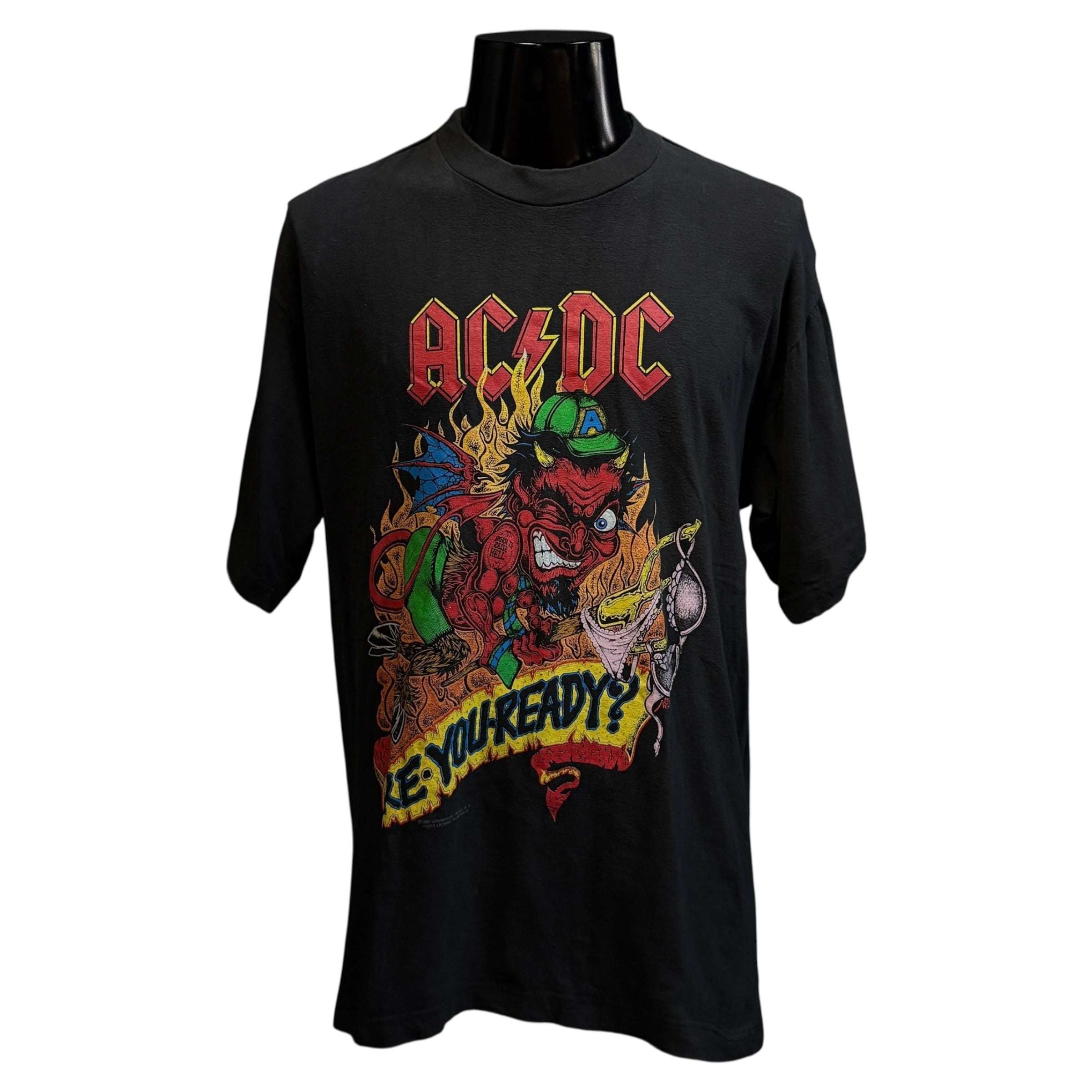 AC/DC】エーシーディーシー BORN TO RAISE HELL/ARE YOU READY? TOUR