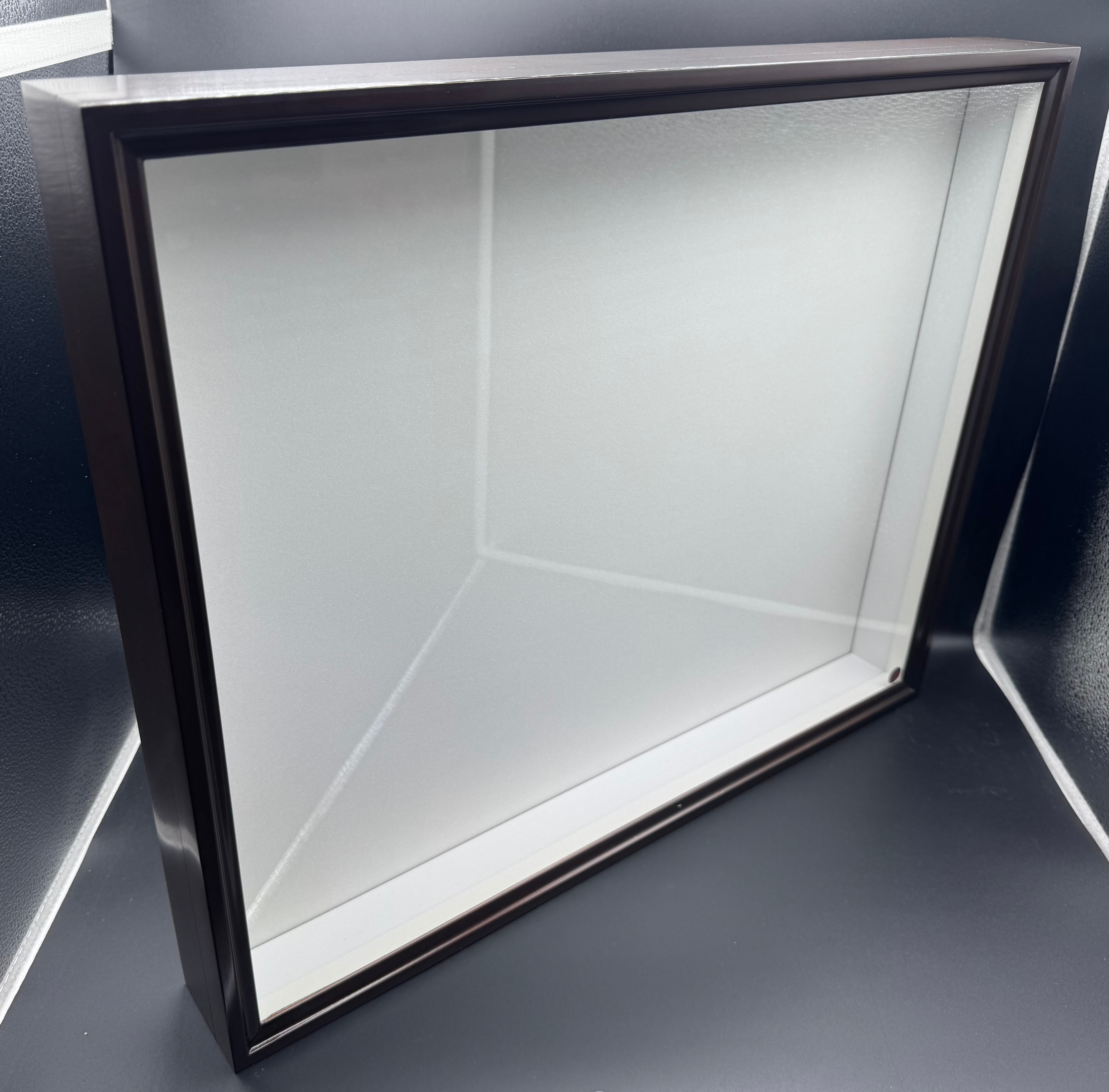 茶】バードウィング製 ドイツ型標本箱 大型薄型BW55 | KPW公式