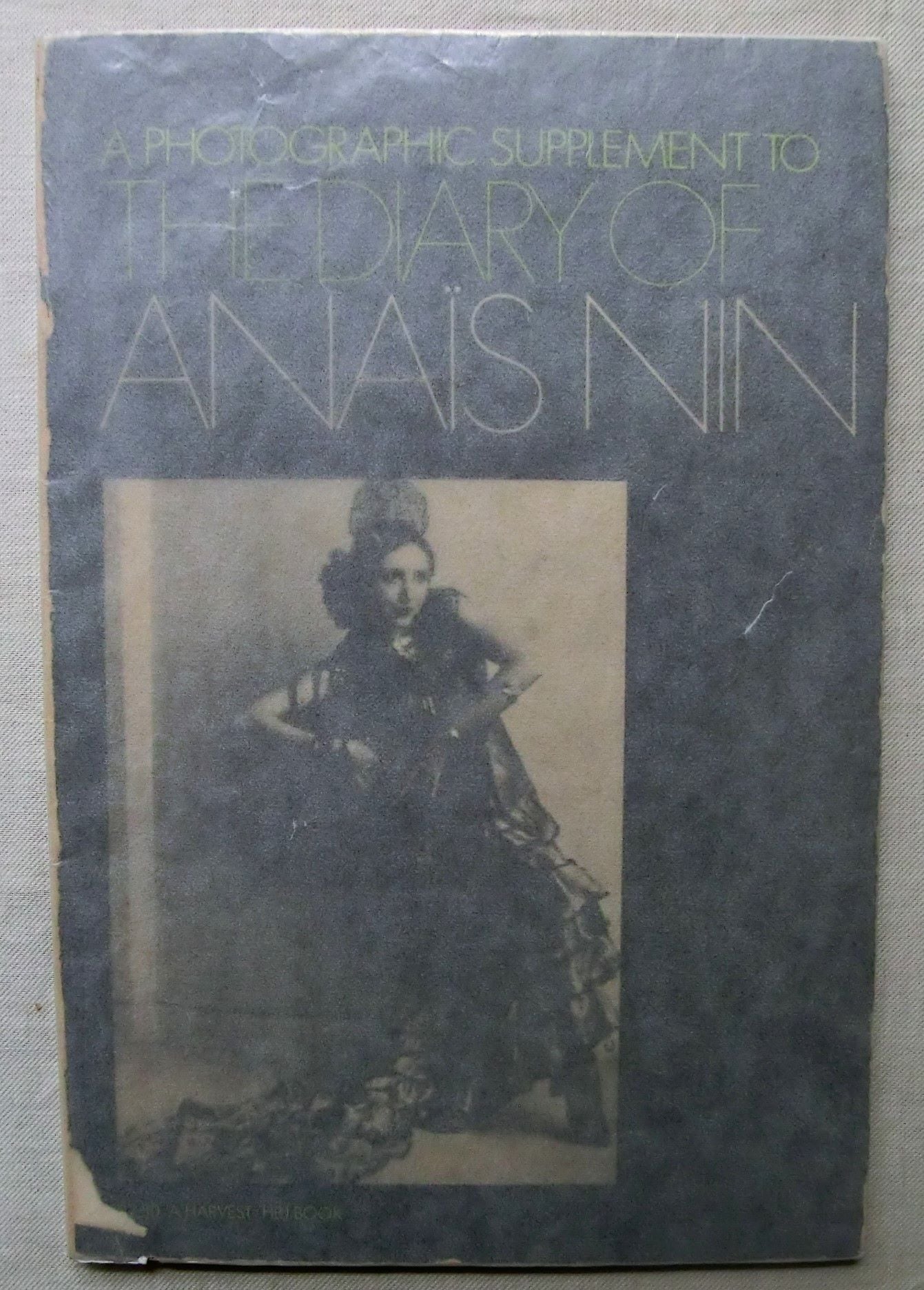 ギュスターヴ・ドレ 聖書画集 版画98点 ヴィクトリア朝 Gustave Dore