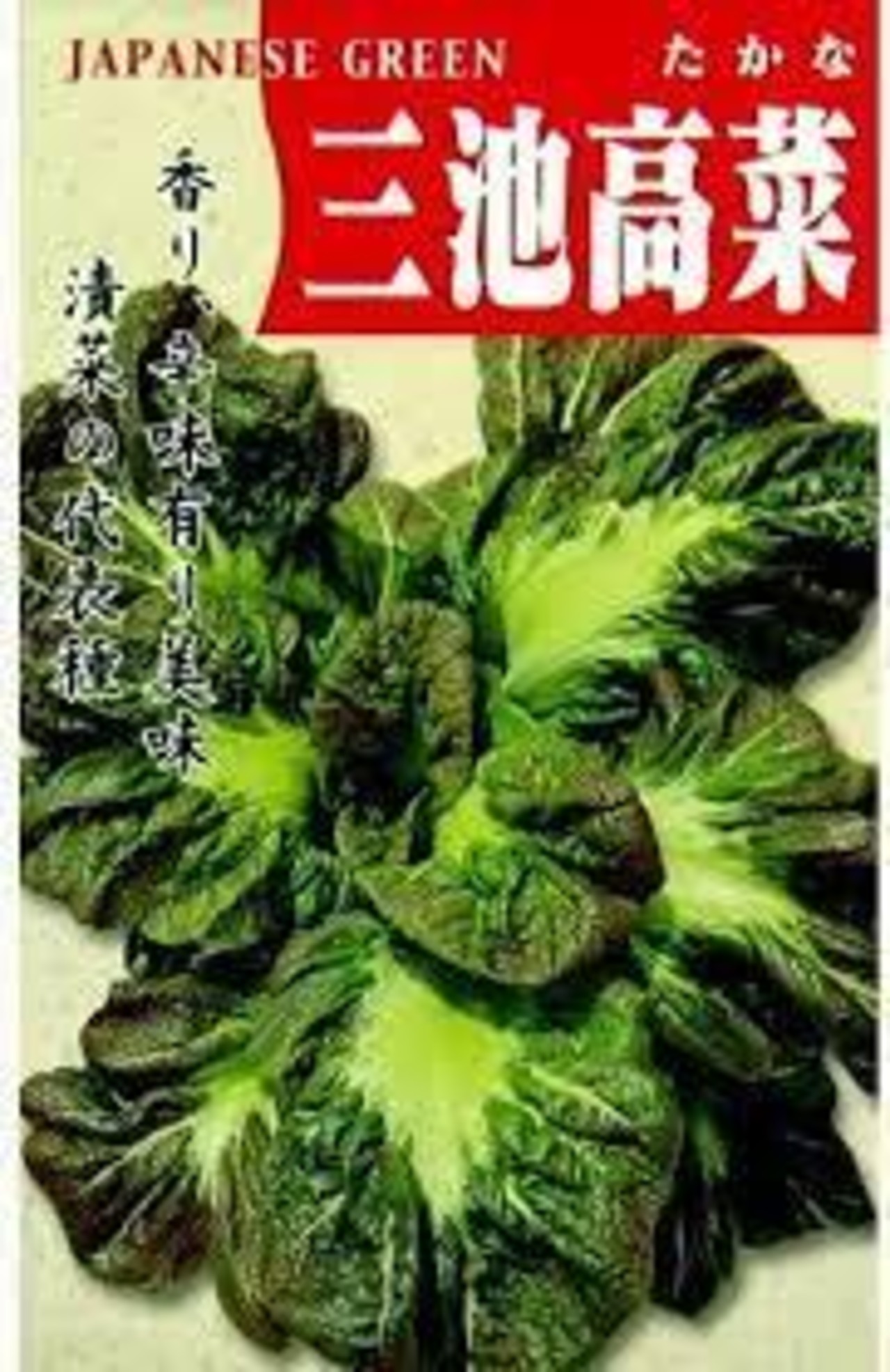 三池高菜