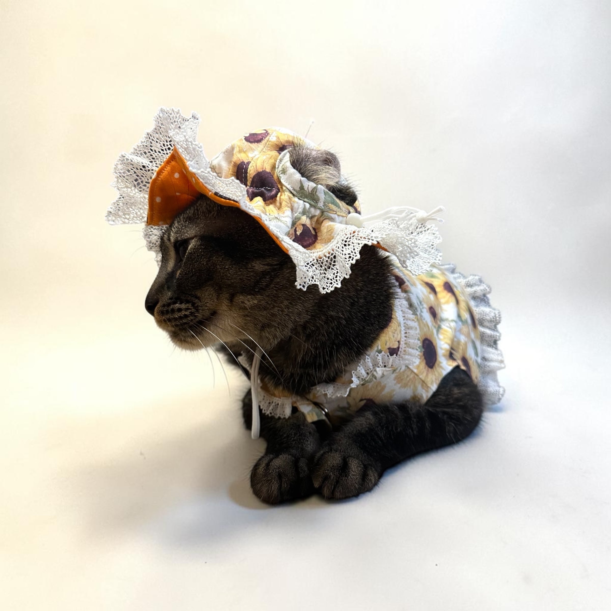 猫用帽子＞ひまわり柄とレースのチューリップハット！ | かぎしっぽ