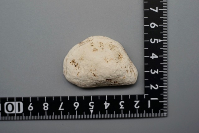 ロイヤルインペリアルジャスパー　Royal Imperial Jasper ⑦