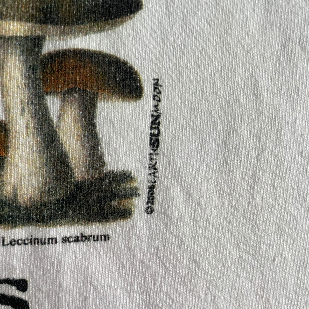 00年代 mushrooms キノコ プリントTシャツ メンズL 古着 00s 