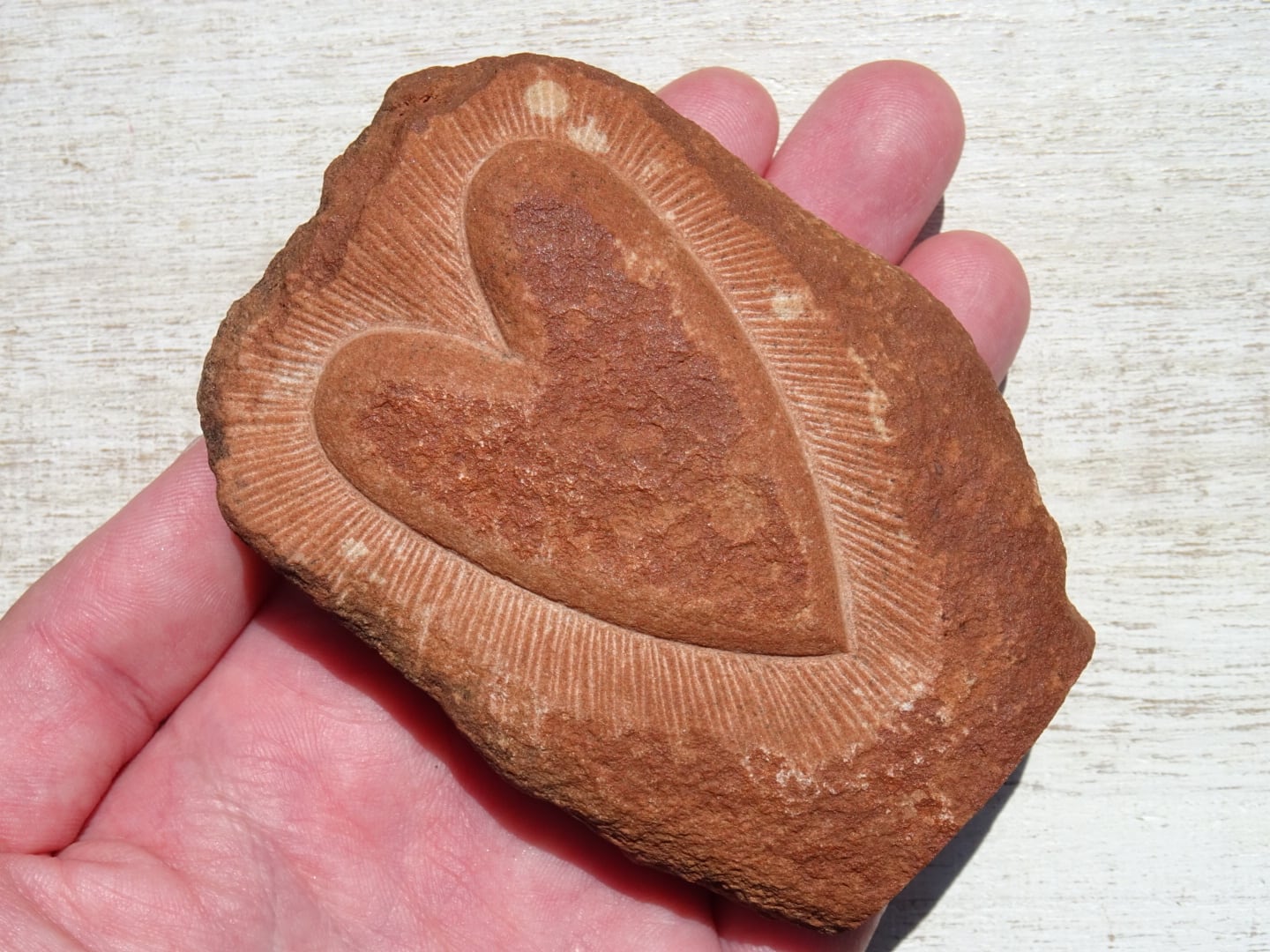 ハートの石 天然石ハート型ルース裸石研磨品