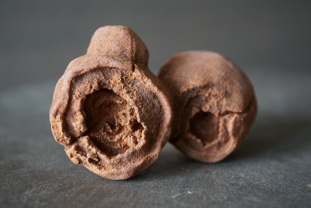 モロッコ産ストロマトライト Stromatolite 1194