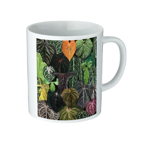 Anthurium festival Mug