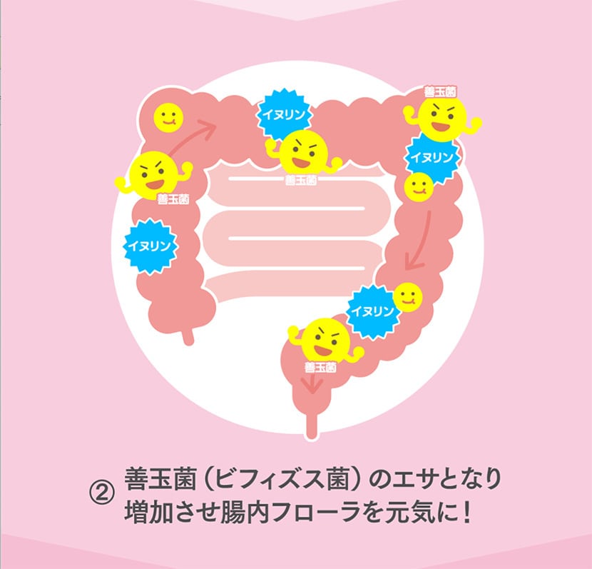 菊芋の極み〈家計応援価格〉3袋セット(2ヶ月分)
