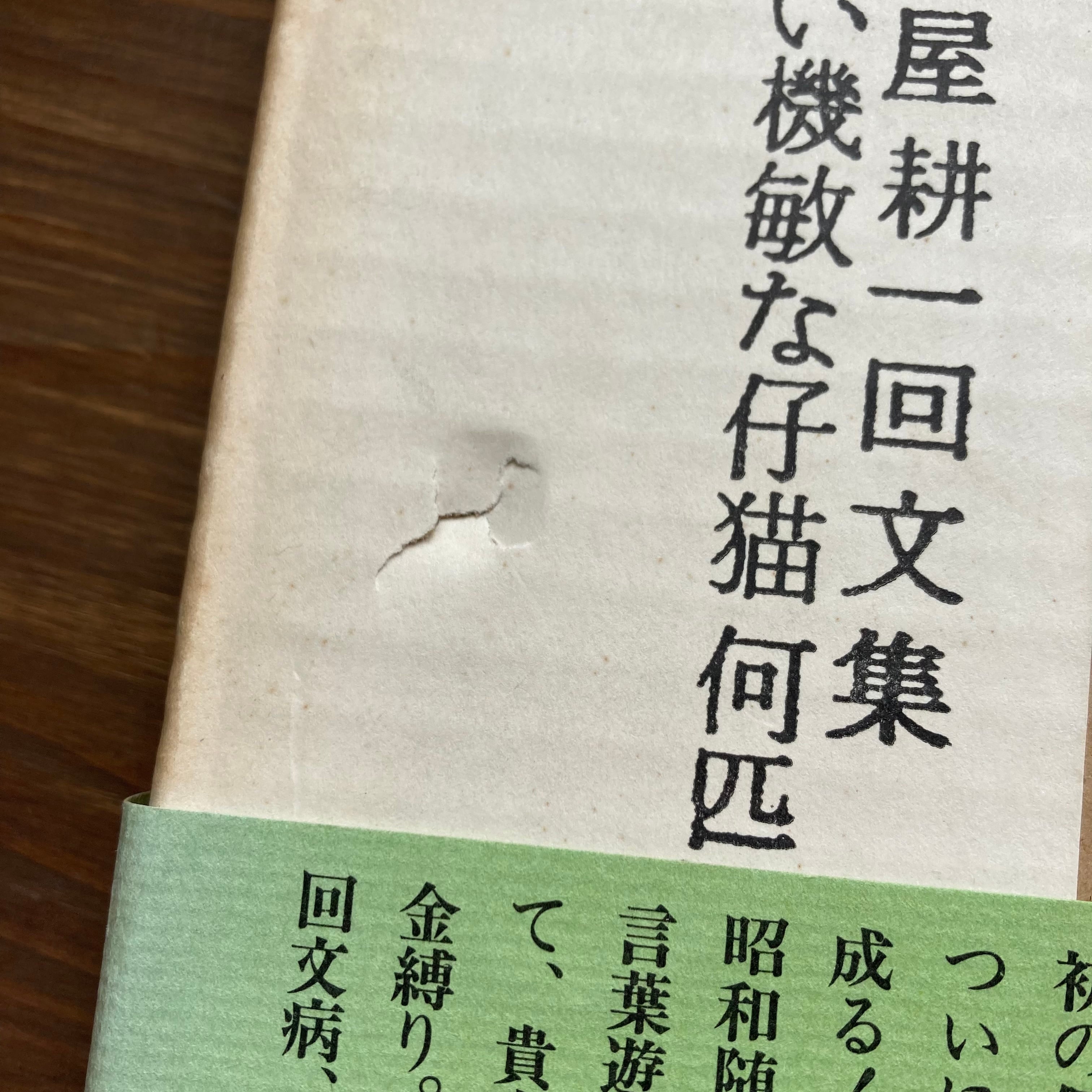 土屋耕一回文集　軽い機敏な仔猫何匹いるか