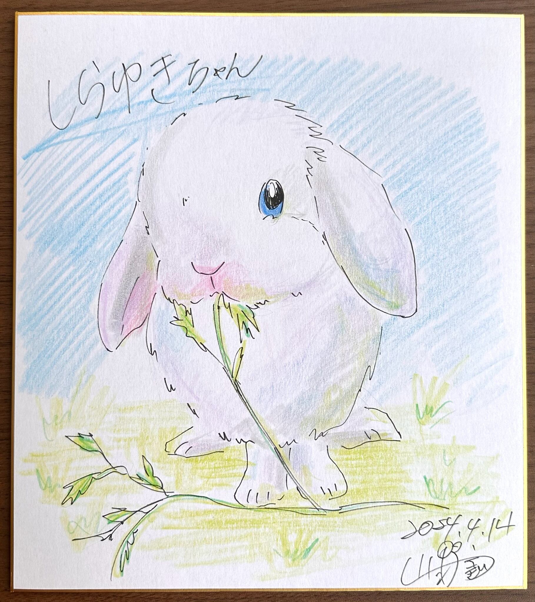 オーダーペイント　白うさぎさん　似顔絵 うさぎの似顔絵 | 陶芸うさぎショップmimipyon