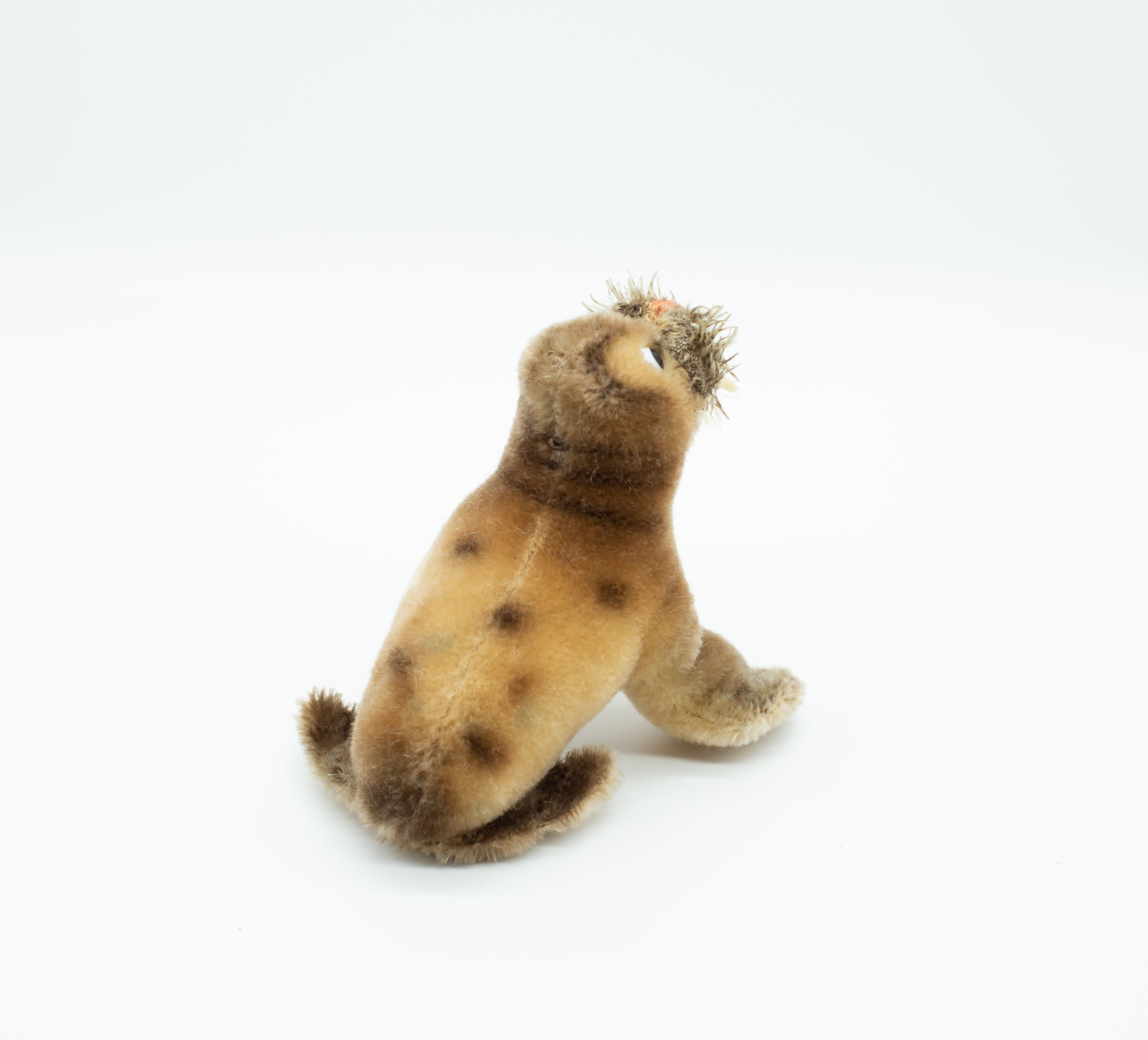 アンティークシュタイフ セイウチ Steiff 「Paddy」14cm | Banlieue