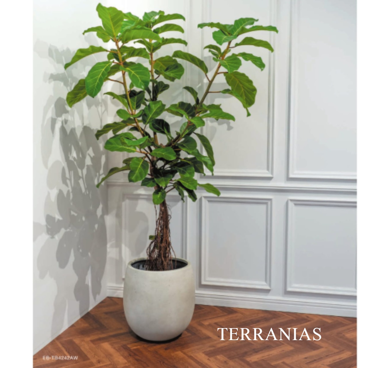 TERRANIAS　10号用