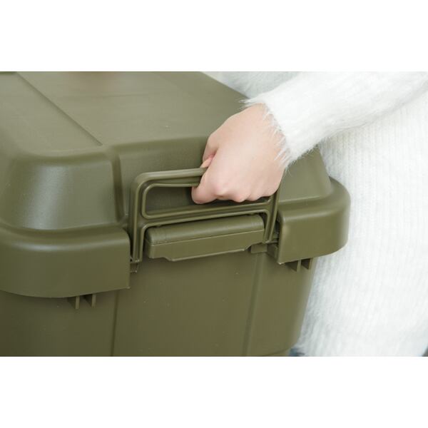 ストレージ トランクカーゴ 30L 幅40×奥行39×高さ37cm リビング収納 完成品 組立不要