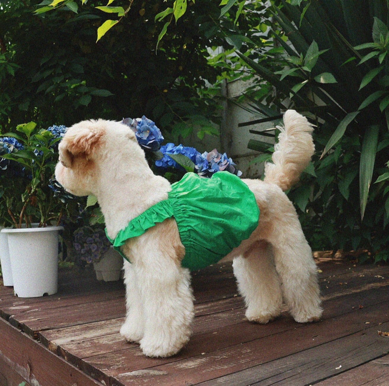 予約【noonoosoom】Dots Ballon Top (Green)