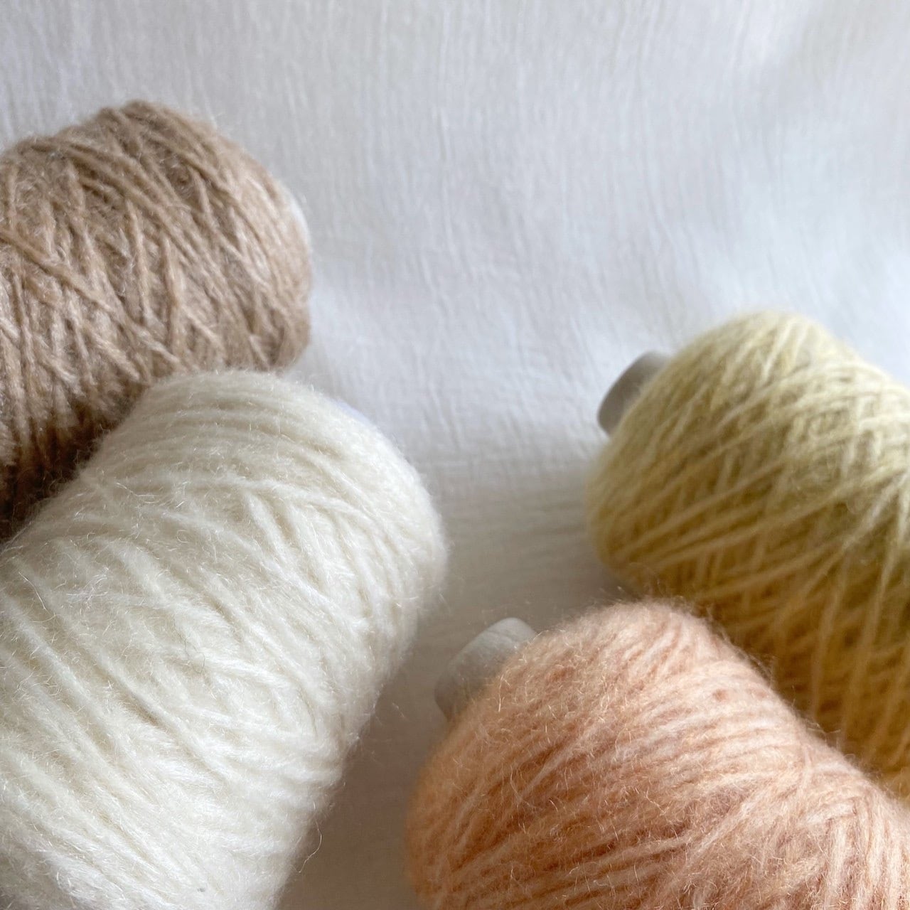 Terrier テリア｜Special Selection | ［hus:］フース