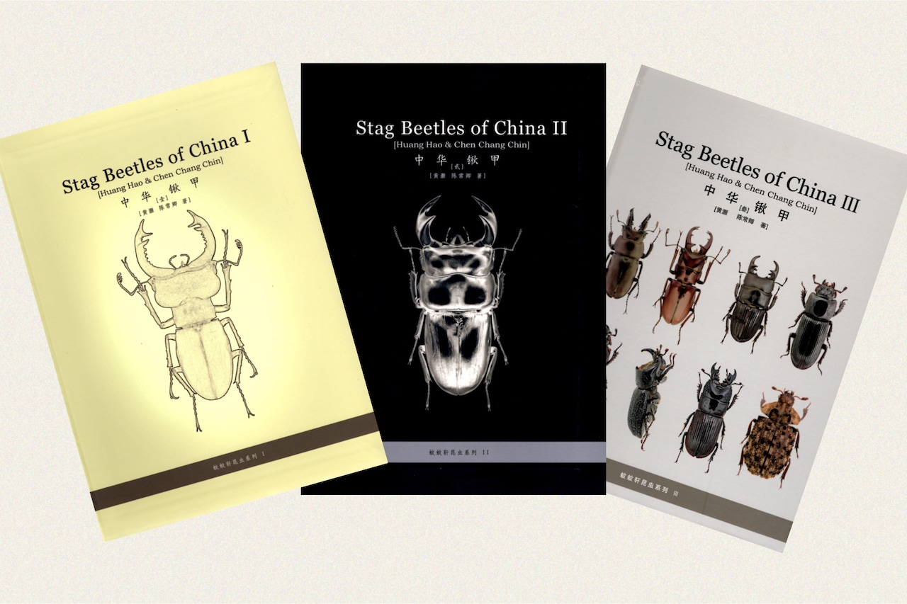 Stag Beetles of China 中華鍬甲 Ⅱ