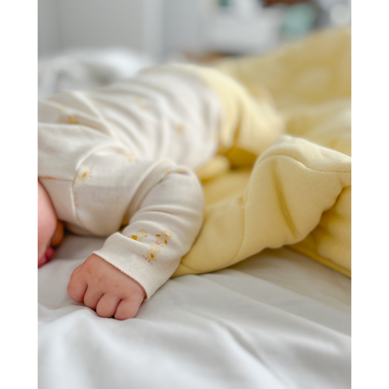 NorthBaby　Duckling Organic T-shirt and Leggings