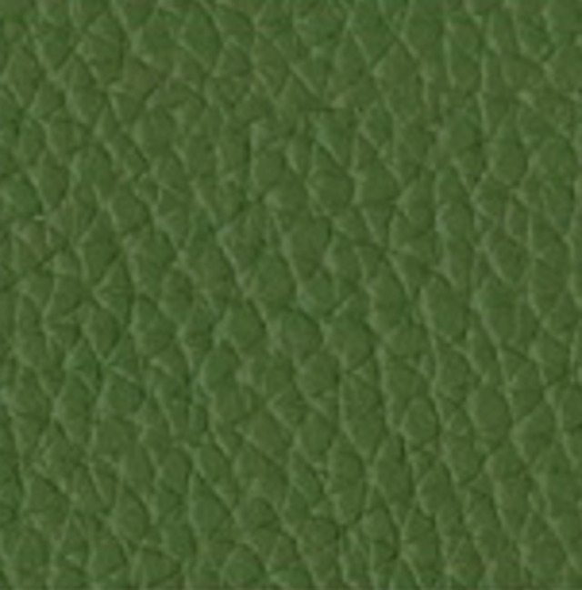 Compact 35mm フィルムカメラ <抹茶グリーン> ただいまフィルム1本付いてます