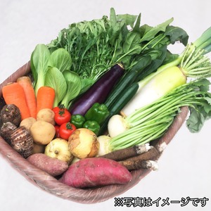 旬の有機野菜セット