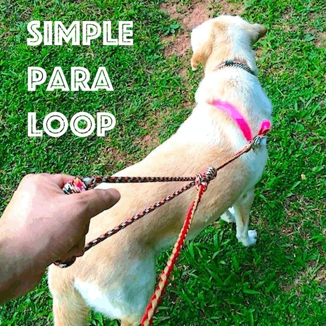 シンプル パラ - 犬の多機能パラコード・リード