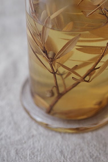 植物の標本瓶 -sample in bottle | アンティーク.ヴィンテージ家具雑貨