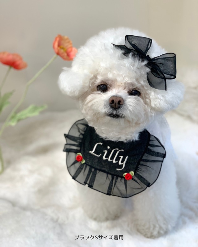 受注制作【settusettu】シースルーケープ 6color〔お名前刺繍〕