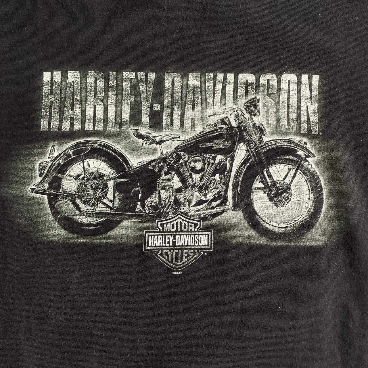 ビッグサイズ 00年代 Harley-Davidson ハーレーダビッドソン BATON