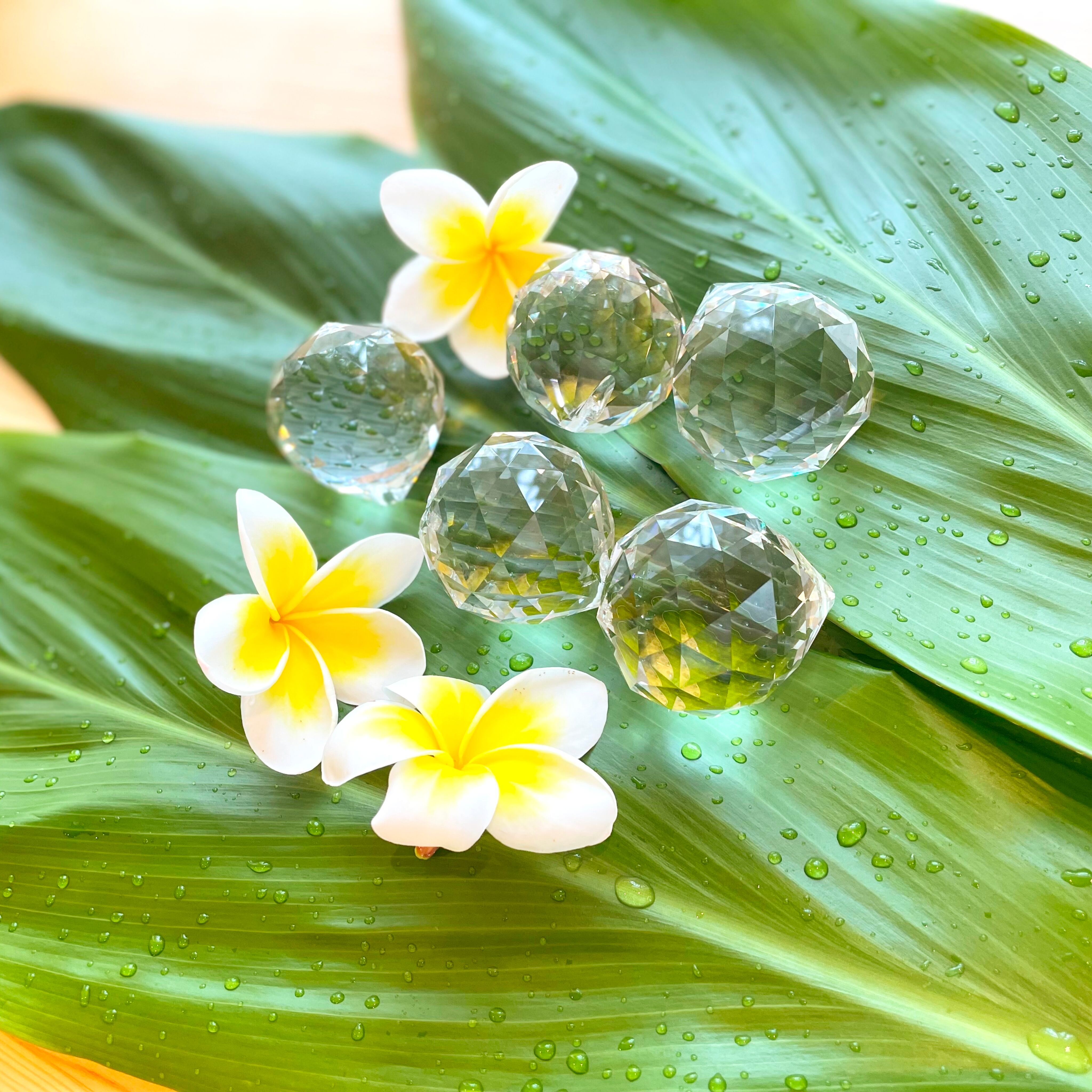 サンキャッチャー♡ハンドメイド「エーデルワイス❁⃘」 サン